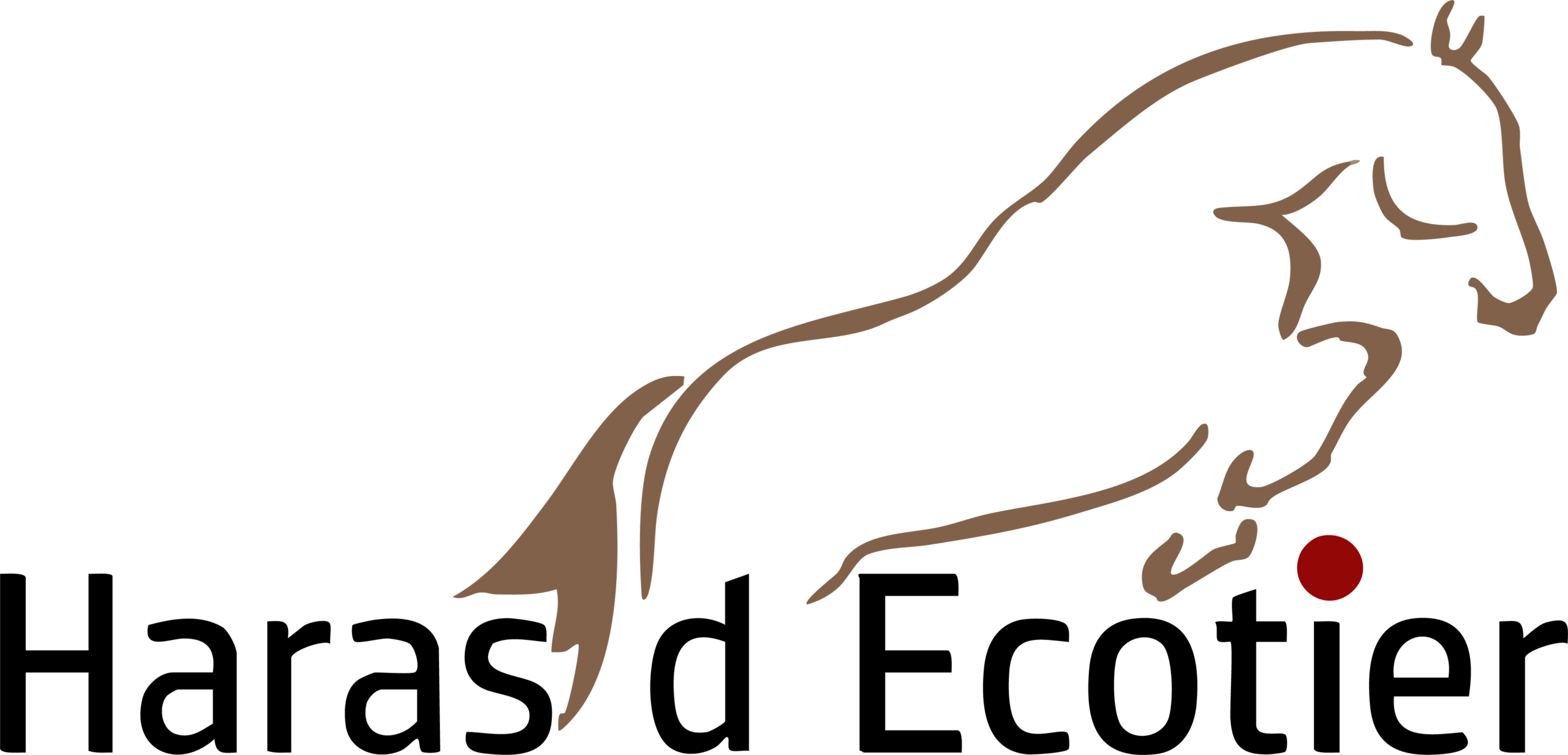 Haras d'Écotier