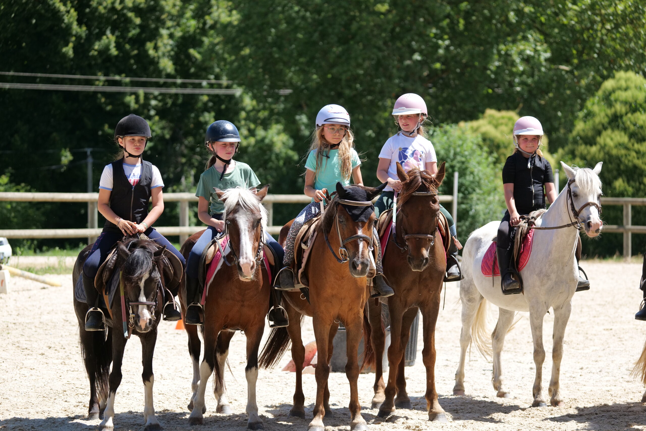 Cours d'équitation